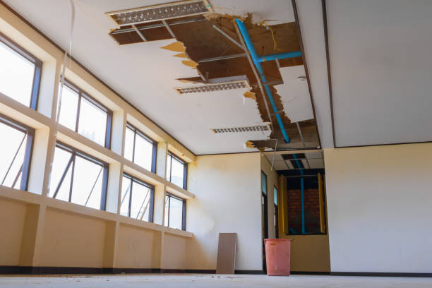 Best Fire Damage Restoration  in Douglass Hills, KY