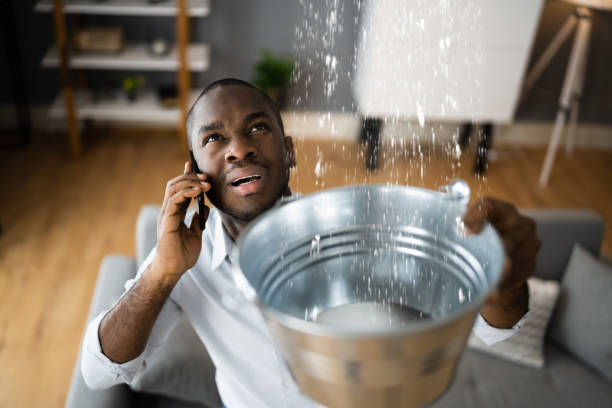 Best Basement water damage restoration  in Douglass Hills, KY