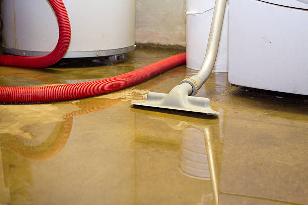 Best Commercial water damage restoration  in Douglass Hills, KY